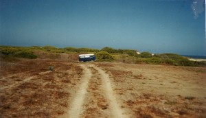 Just Raw Land