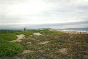 Raw Beach Front Coastline at Rancho Santa Cruz