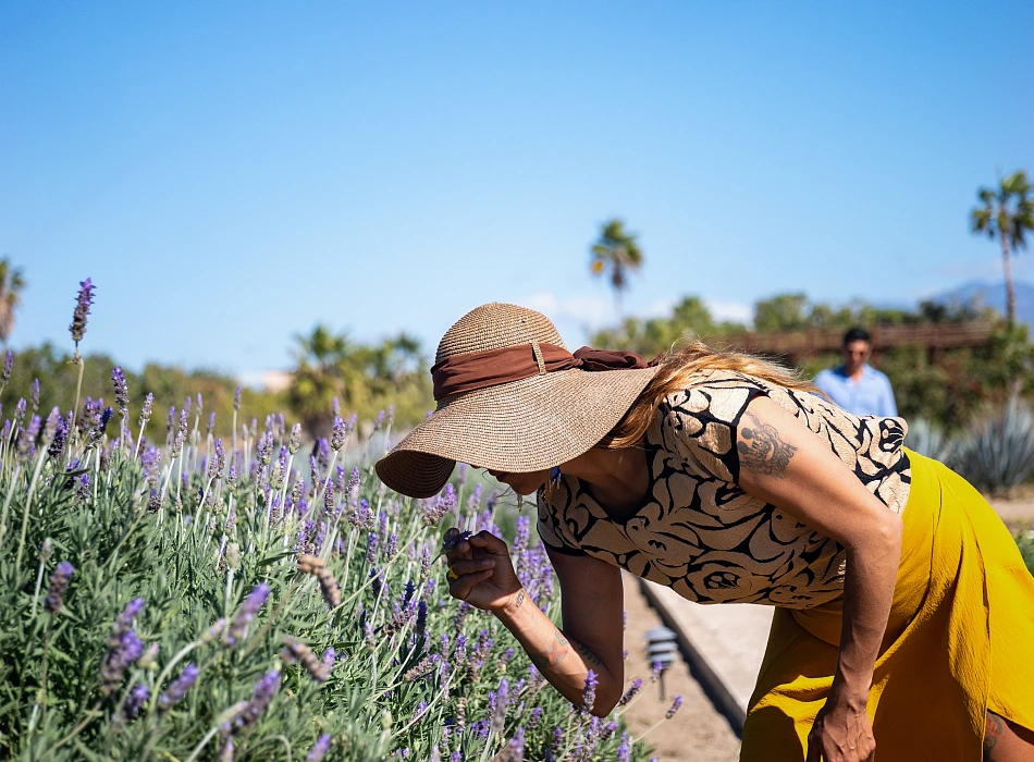 Respect Local Cultures And Environments