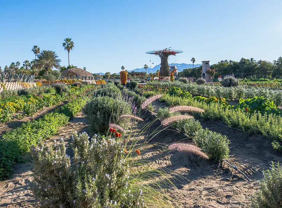 Sustainable Accommodations