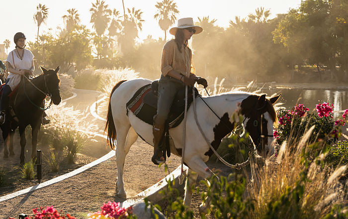 Equine _ Horses 2