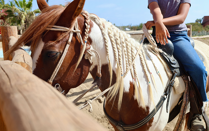 Morning-Ride-img