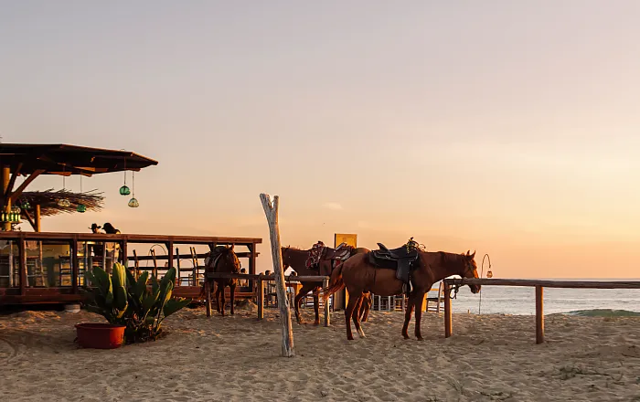 Sunset-beach-ride