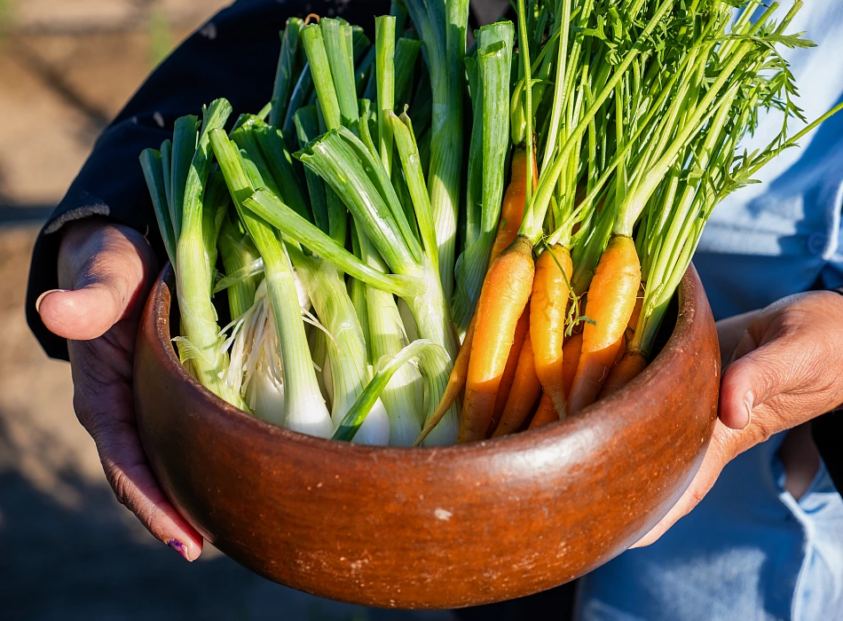 Culinary Journey Culinary Journey