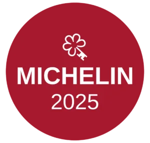 Michelin key awarded hotel in Todos Santos Baja - Villa Santa Cruz