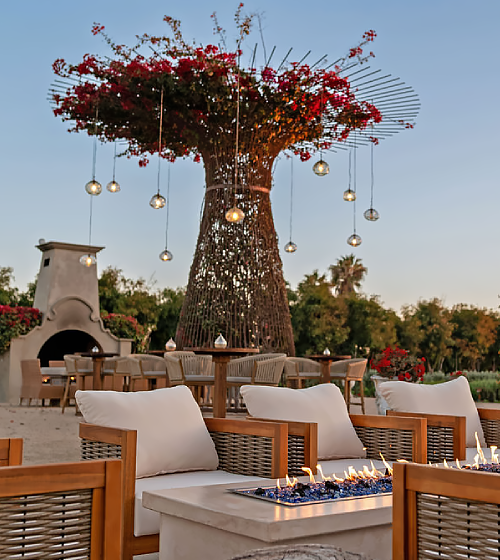 Seasonal farm-to-table dining experience at Caracara restaurant at Villa Santa Cruz