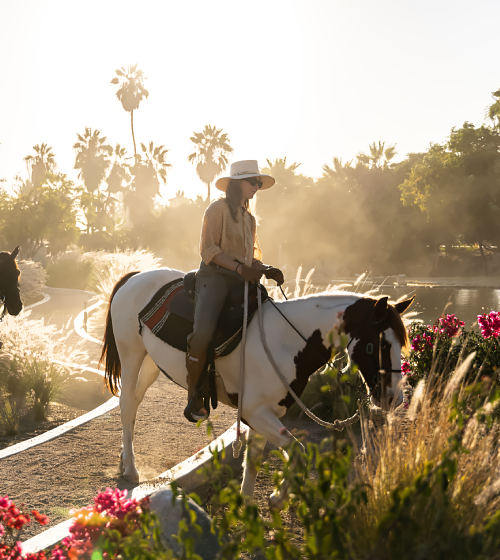 Horse stables at Villa Santa Cruz in Todos Santos Horseback rides on Todos Santos beach at sunset from the stables at Villa Santa Cruz